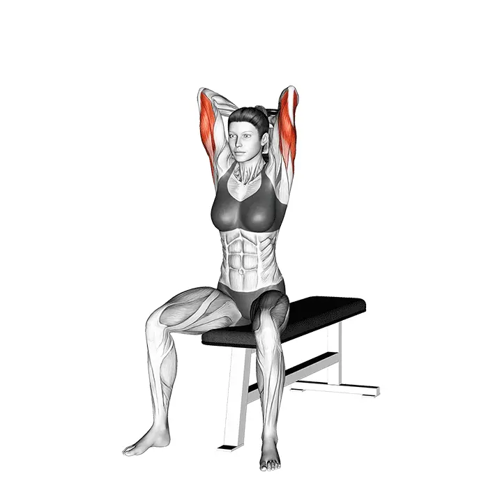 Istuva käsipainon ojentajapunnerus - harjoituksen suoritus