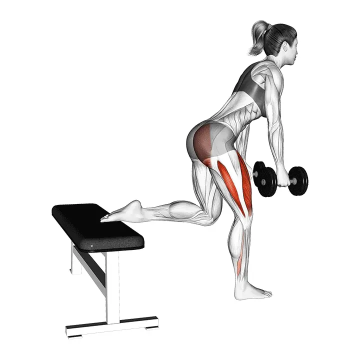 Käsipainoinen pakarapainotteinen bulgarialainen askelkyykky - harjoituksen suoritus