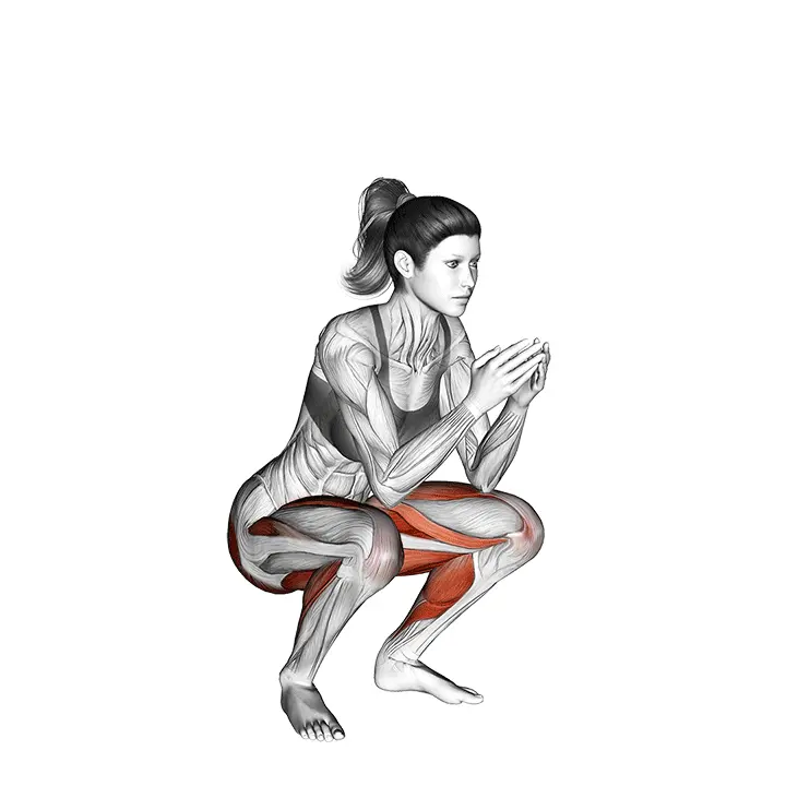 Konnakyykky plyometria - harjoituksen suoritus