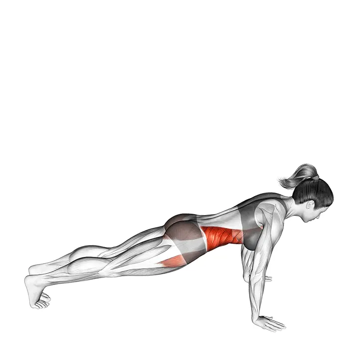 Etu-sivulankku - harjoituksen suoritus