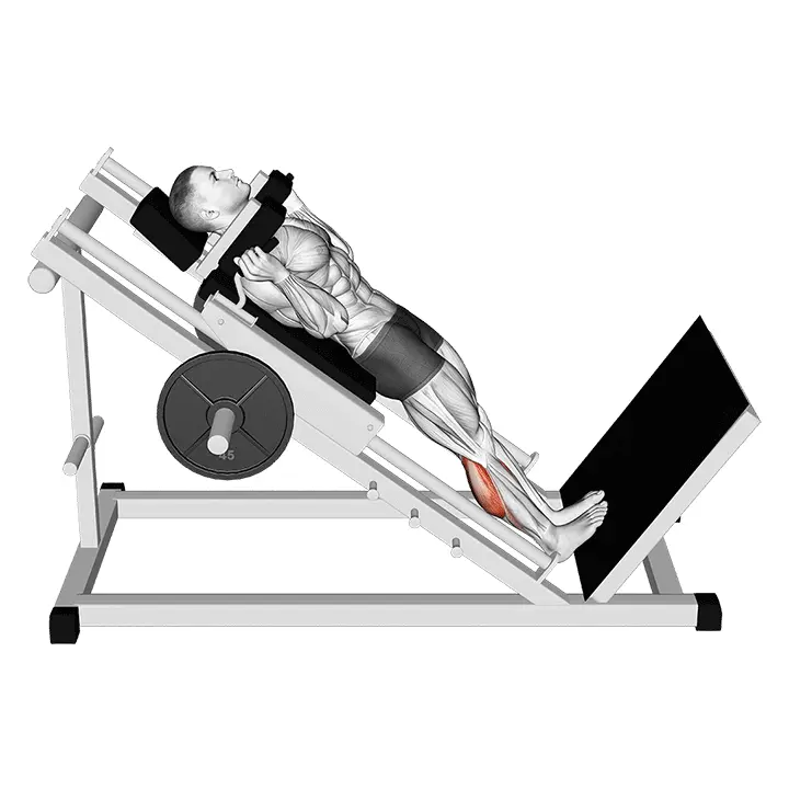 Hack-varpaannosto - harjoituksen suoritus