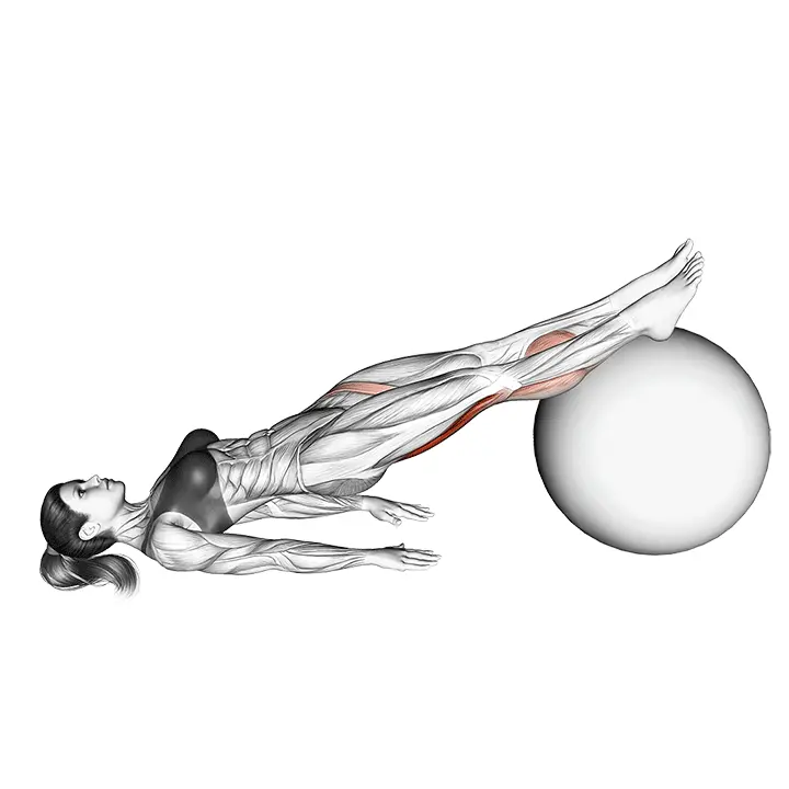 Jalkojen koukistus - harjoituksen suoritus