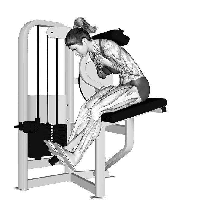 Leverin selän ojennus - harjoituksen suoritus