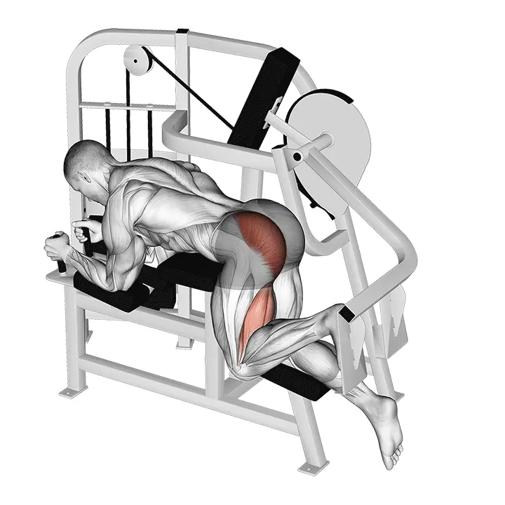 Vipuvivun lonkan ojennus - harjoituksen suoritus