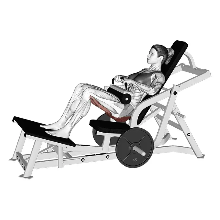 Vipuvipuharjoitus lonkan ojennus - harjoituksen suoritus