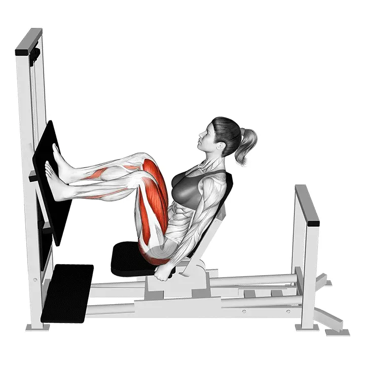 Vipu vaakasoutu jalkaprässi - harjoituksen suoritus