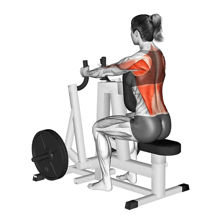 Vipukone kapea istuva soutu - harjoituksen suoritus