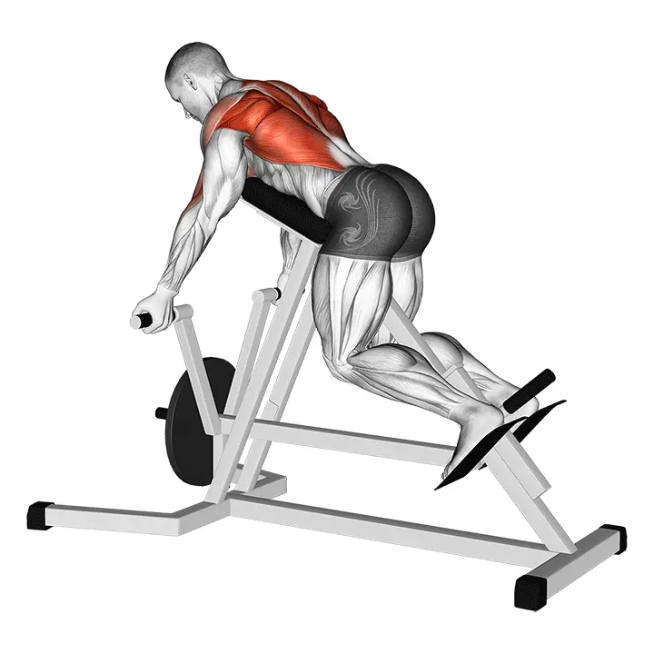 Lever-käänteinen T-tankoveto - harjoituksen suoritus