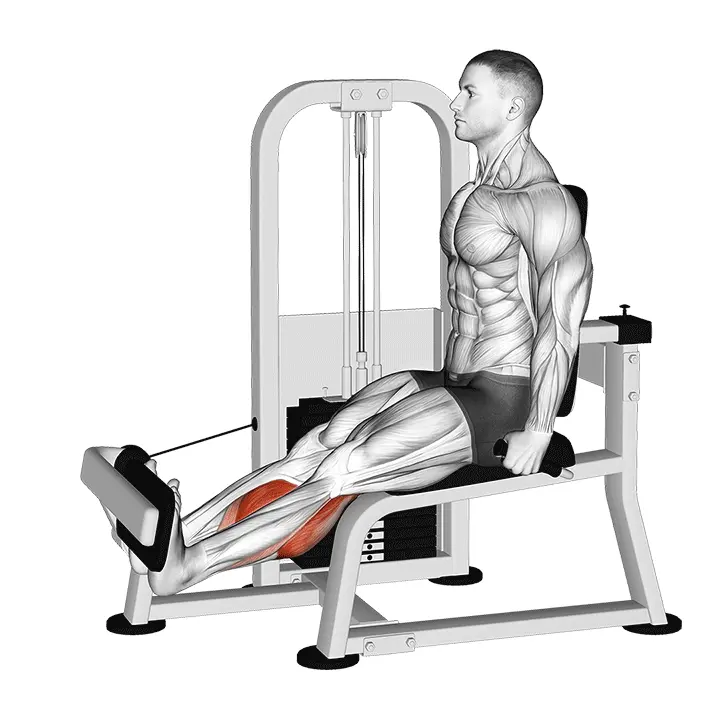 Vipuvarsi pohjenousu - harjoituksen suoritus