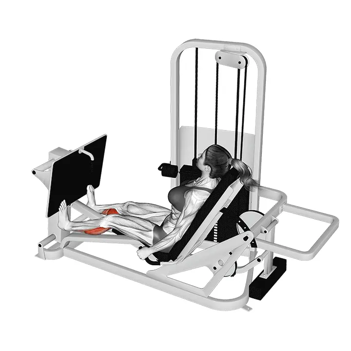 Istuma-asennon vipuvarren pohjeprässi - harjoituksen suoritus