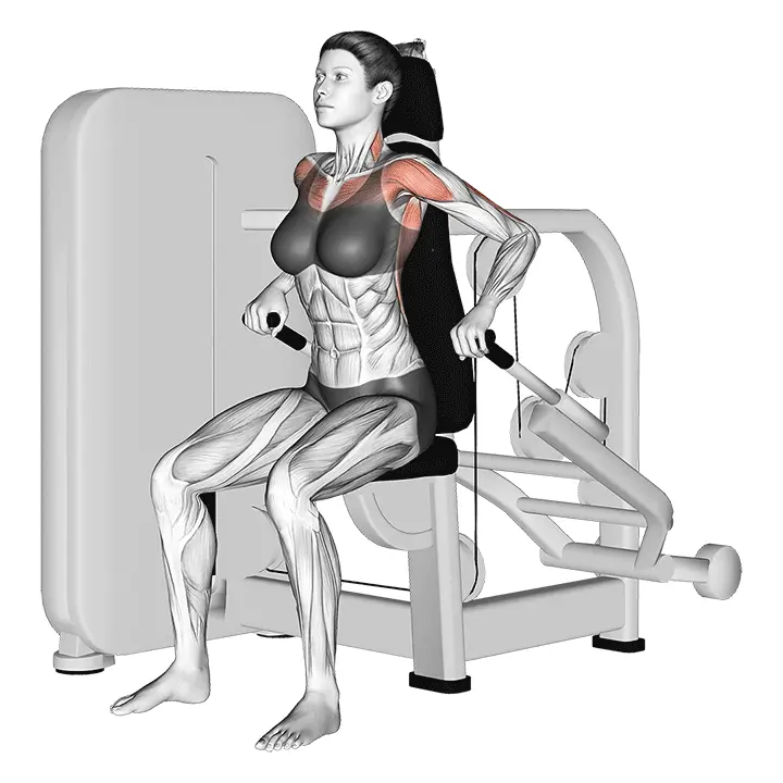 Istuva laitepunnerrus - harjoituksen suoritus