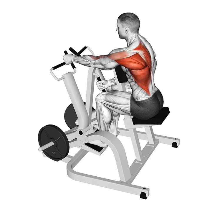 Yhden käden veto laitteella neutraalilla otteella - harjoituksen suoritus