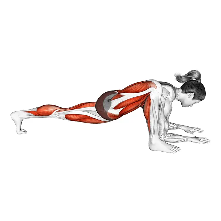 Liskopose venytys - harjoituksen suoritus