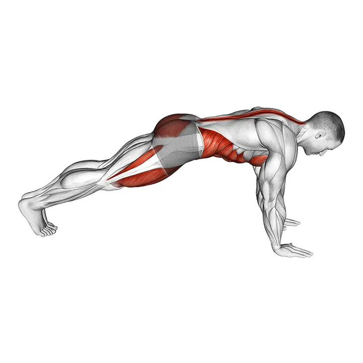 Vuorikiipeilijä - harjoituksen suoritus