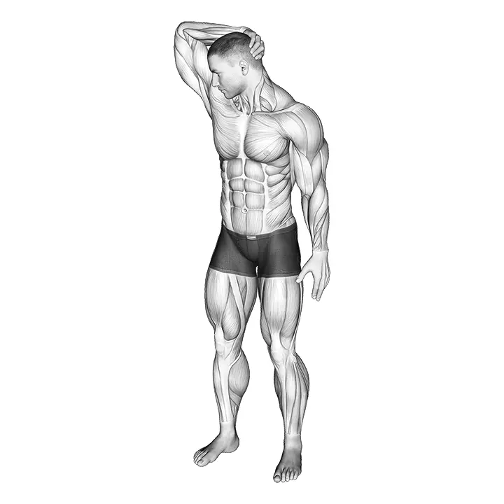 Niskan ojentaja- ja kiertovenytys - harjoituksen suoritus