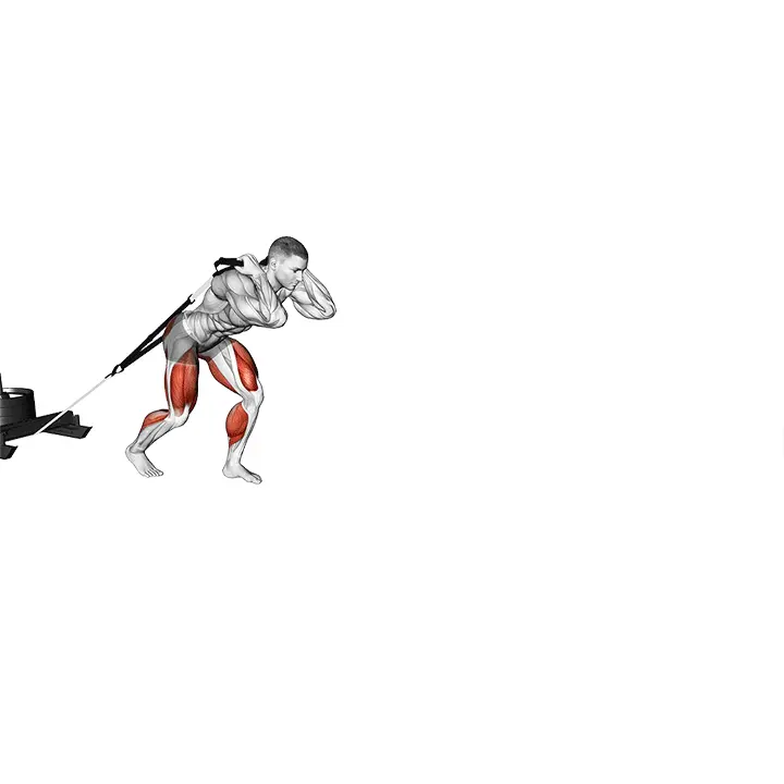 Painorekeä vetäminen - harjoituksen suoritus