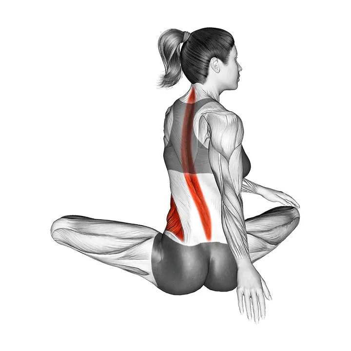 Istuma kiertovenytys - harjoituksen suoritus