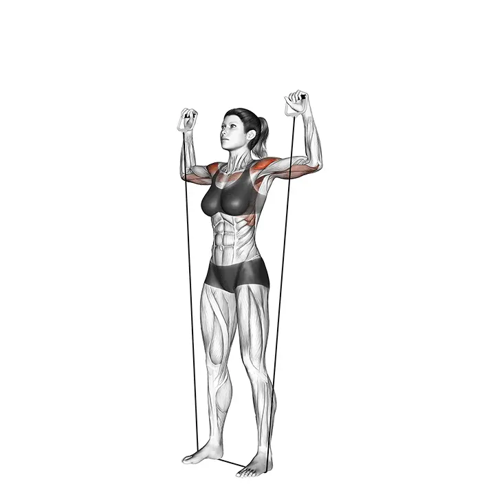 Olkaprässi - harjoituksen suoritus