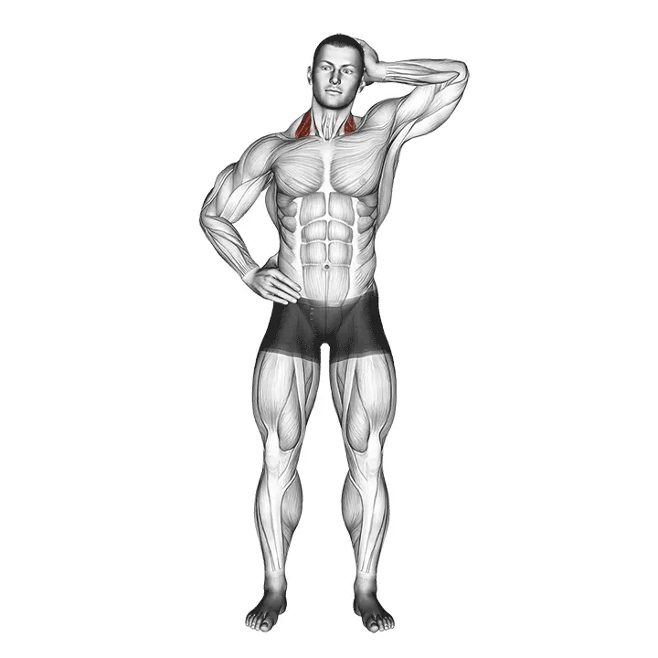 Sivuvenytys pään sivulle - harjoituksen suoritus