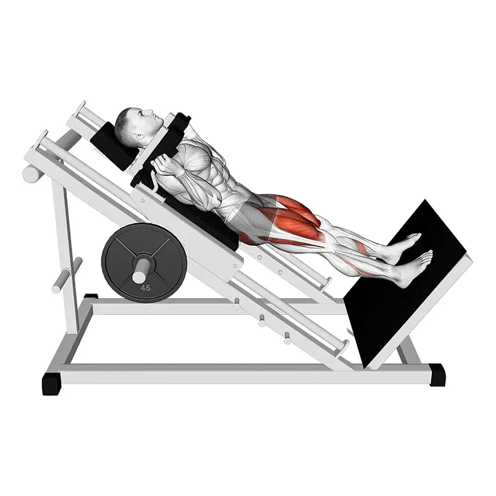 Kelkkahack-kyykky - harjoituksen suoritus