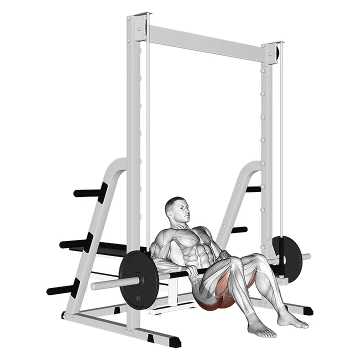 Smith-laitteen lantionnosto - harjoituksen suoritus