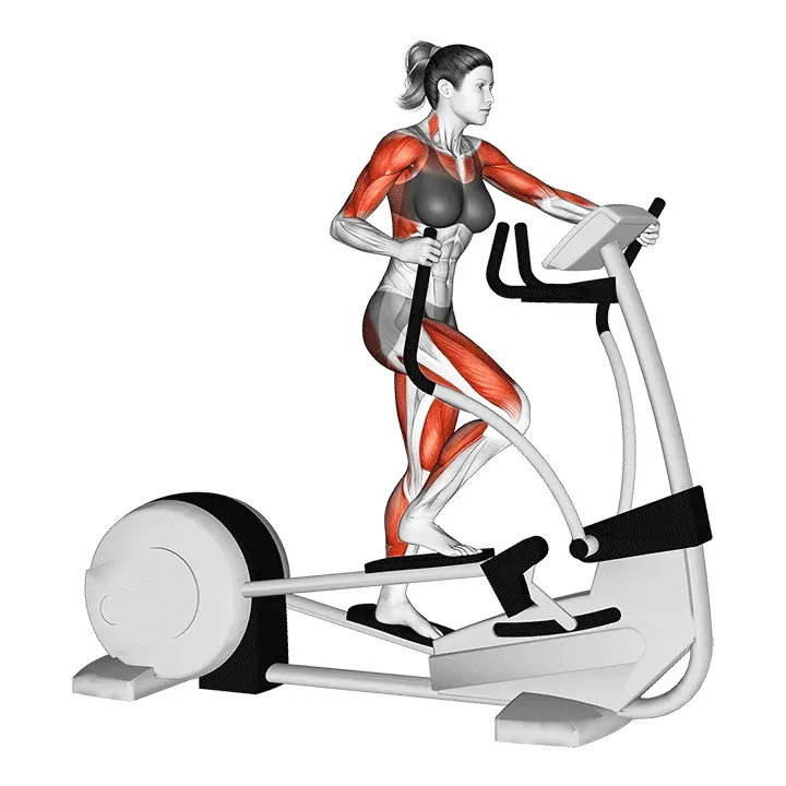 Kävely elliptisellä crosstrainerilla - harjoituksen suoritus