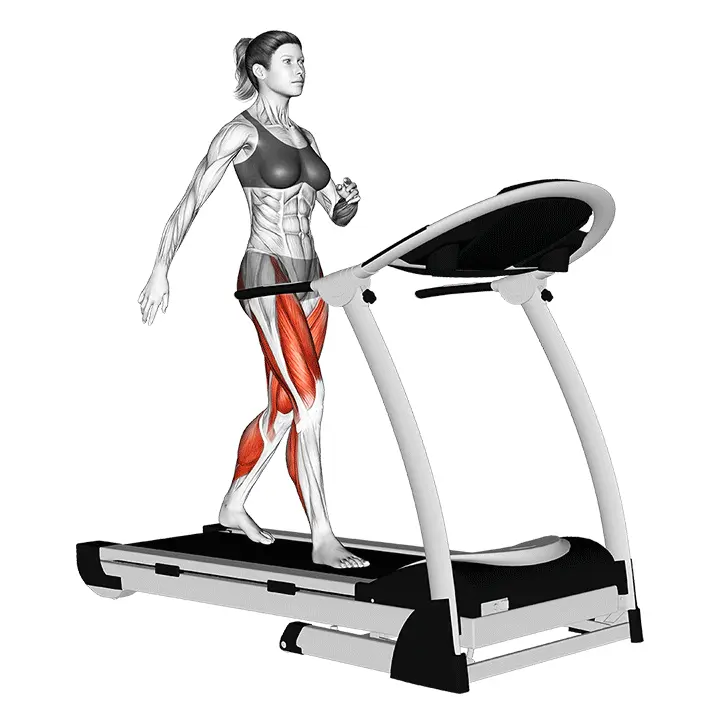 Kävely juoksumatolla - harjoituksen suoritus