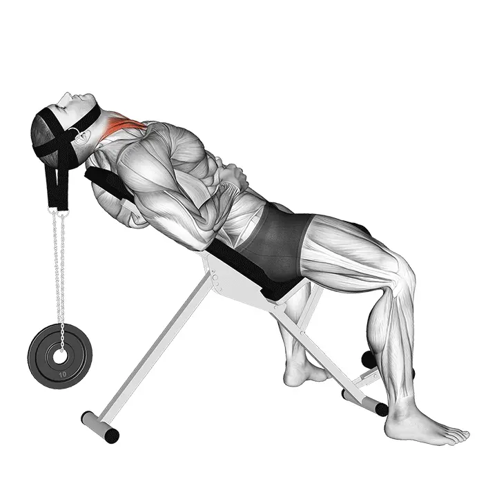 Painollinen makuuasennon niskan koukistus - harjoituksen suoritus