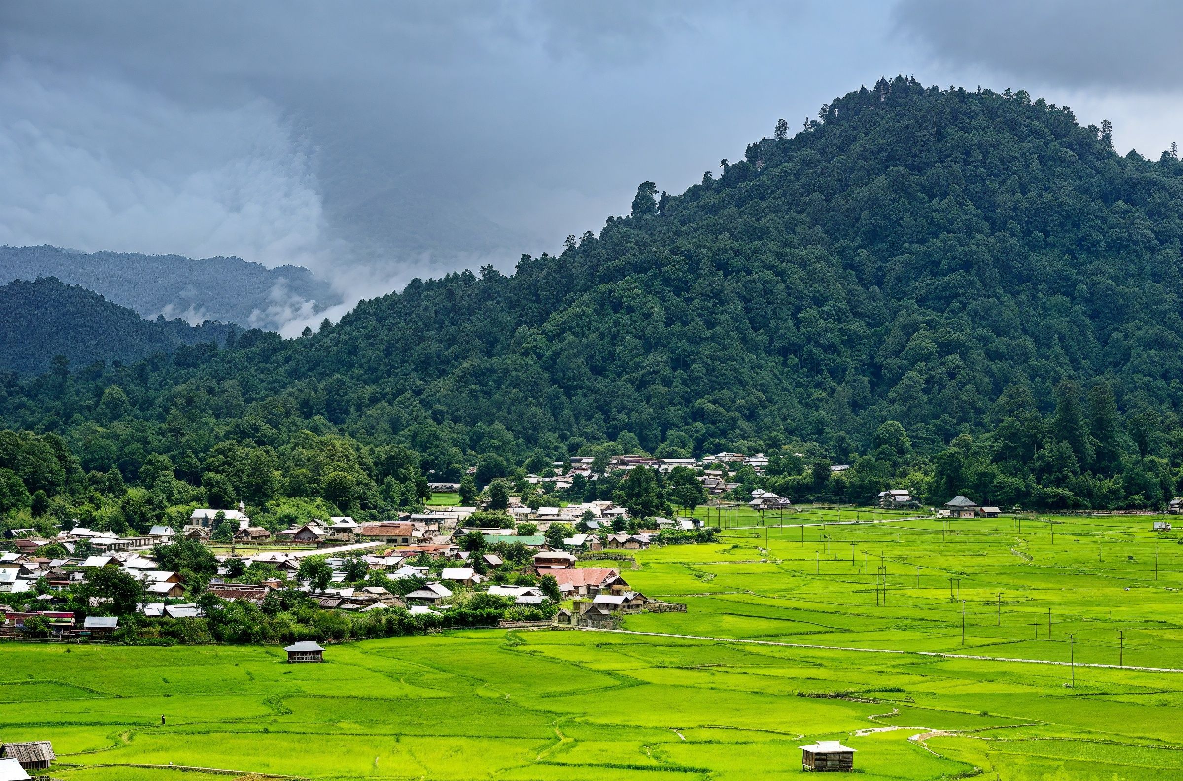 Why You Should Visit Ziro Valley Before Everyone Else Does