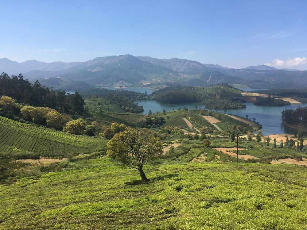 From Scenic Lakes to Majestic Peaks: Local Spots In Ooty You Cannot Miss