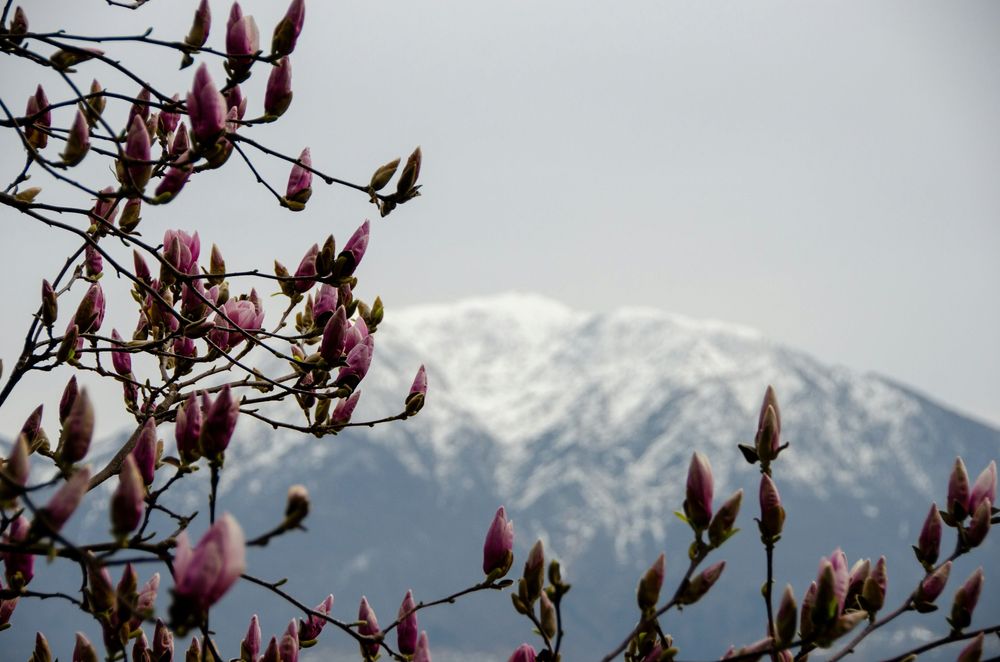6 Best April Getaways In India
