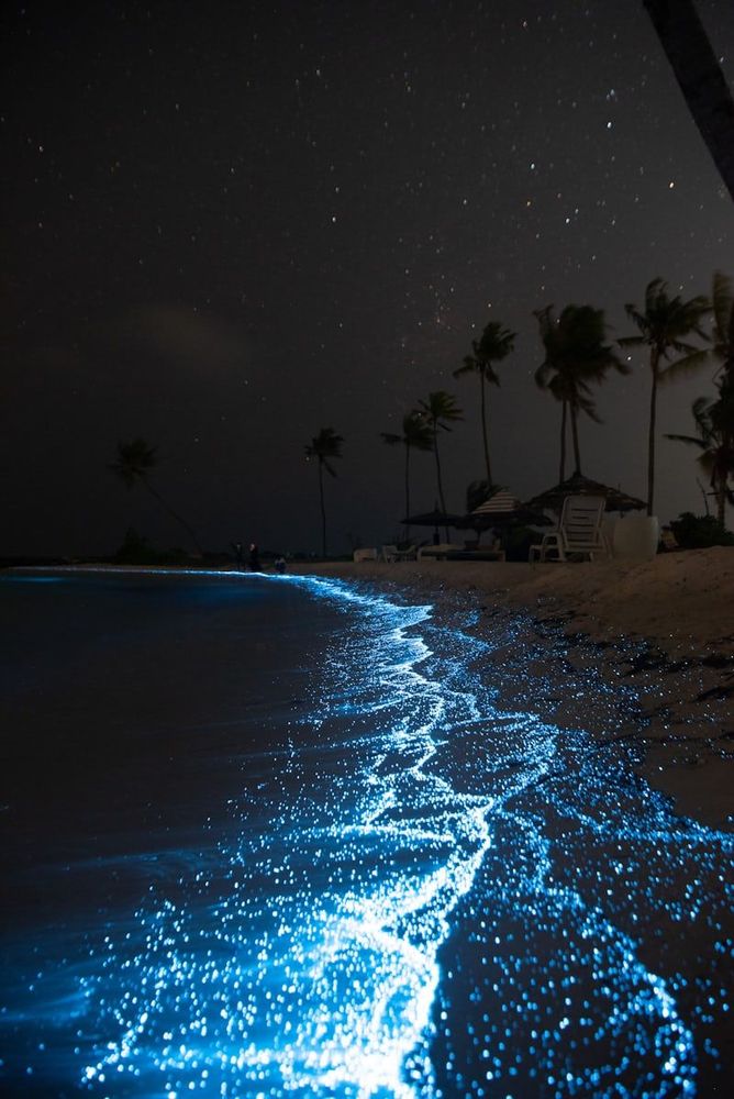 This Beach In Kerala Glows In The Dark!