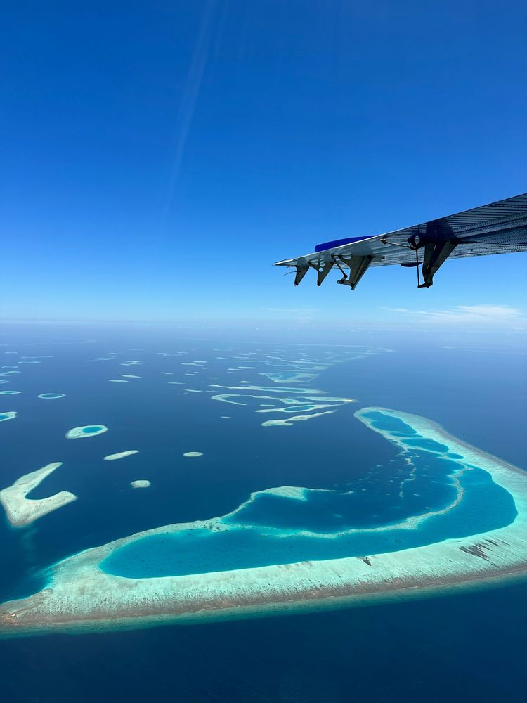 Arrive in the Maldives and enjoy a warm meet-and-greet at Velana International Airport. Transfer to your luxurious island resort and settle into the serene beauty of white sands and crystal-clear waters. Spend the rest of the day at leisure, soaking in the tropical paradise around you.