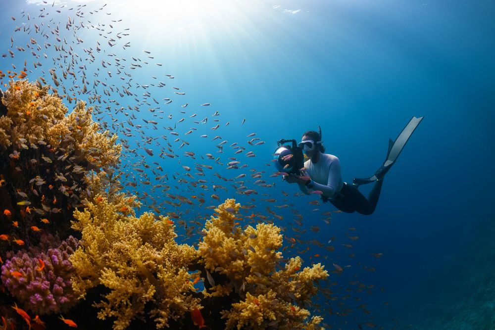 Top 6 Places To Go Scuba Diving This Summer