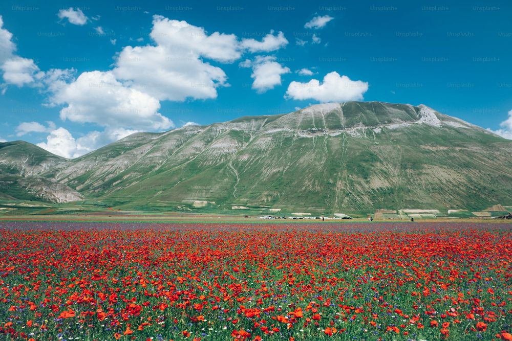 5 Simple Ways To Save Big Bucks When In Almaty