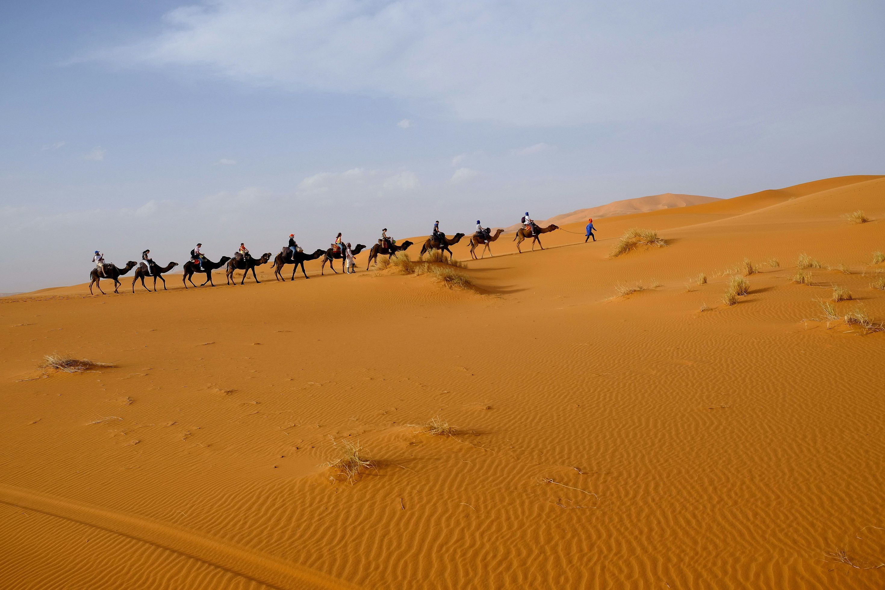 Camel trek & luxury camp in Merzouga
