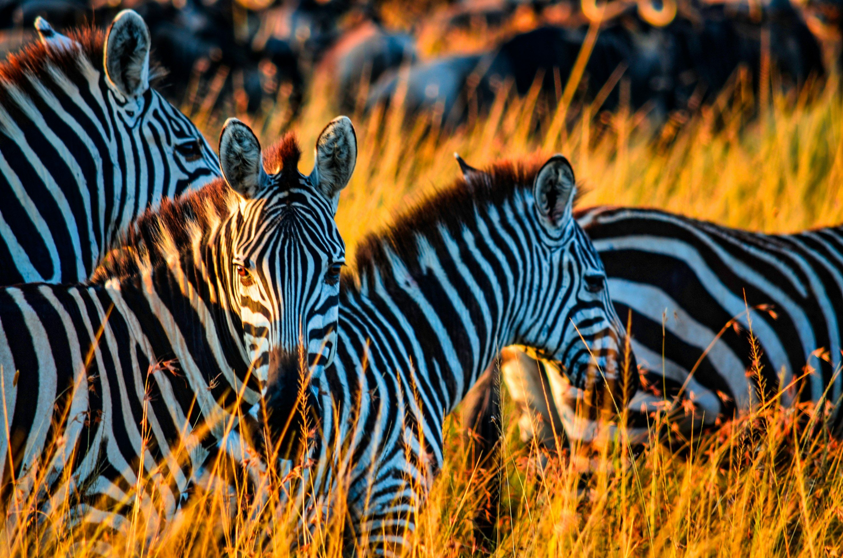 Kenya