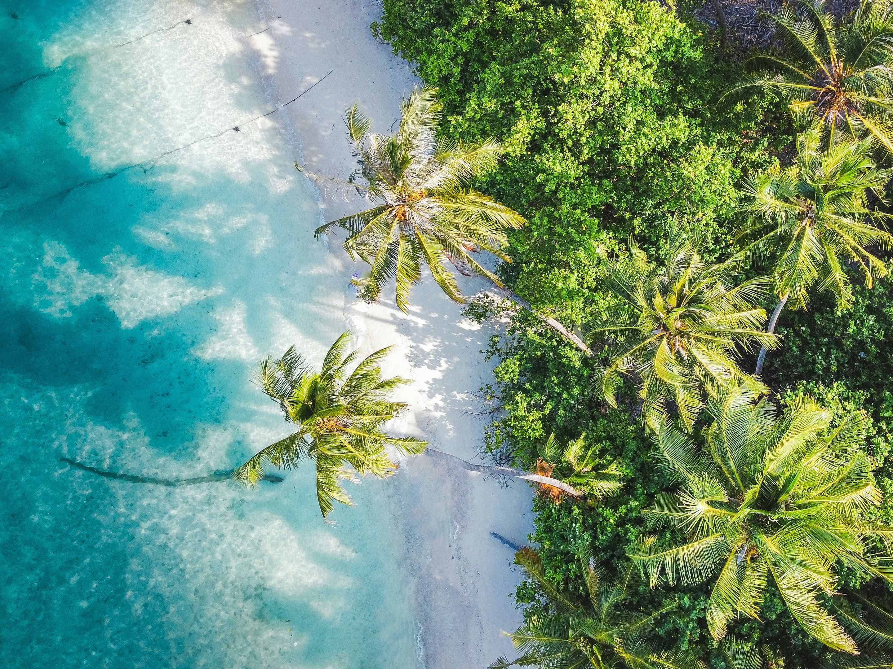 Maldives