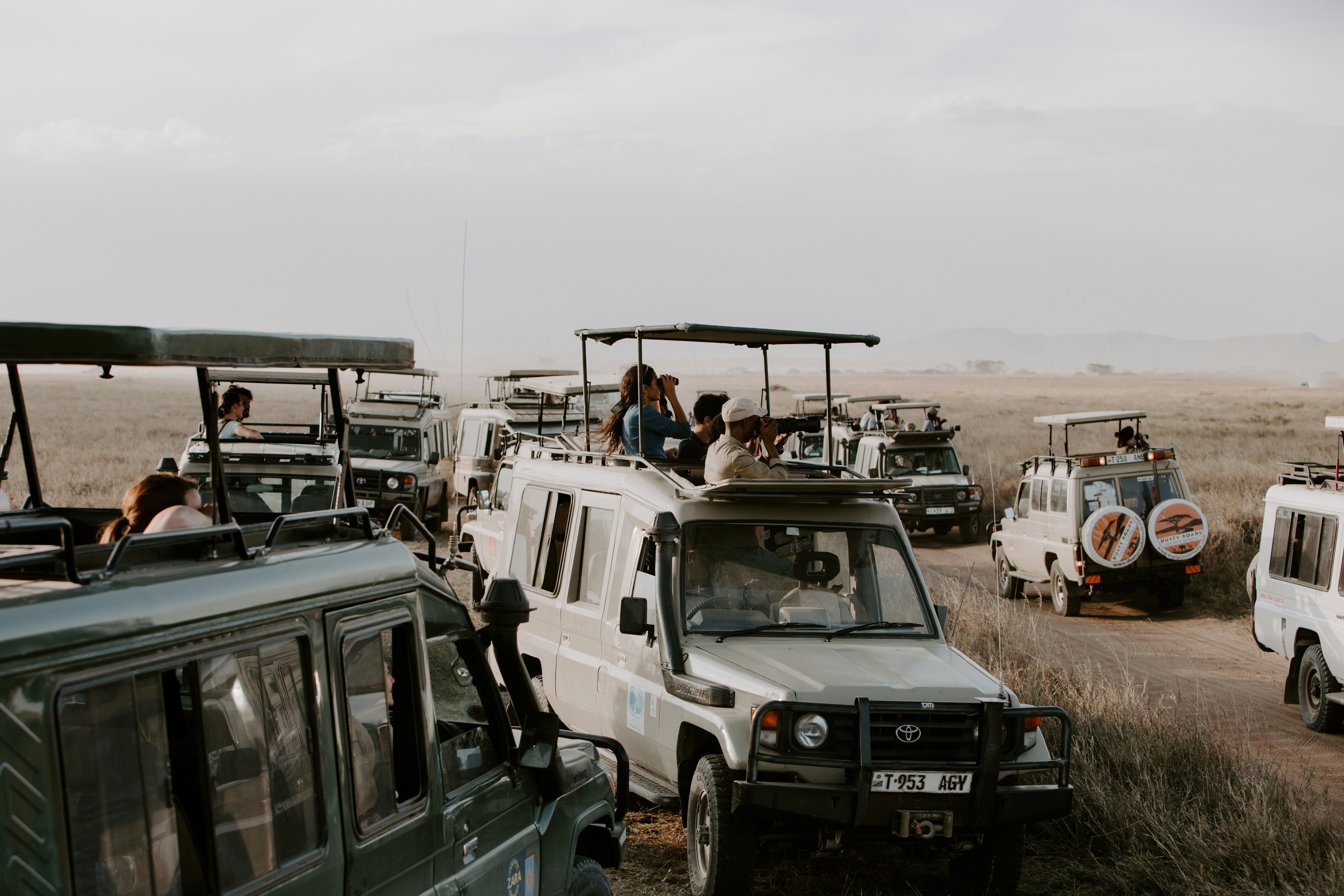 Self-Drive Game Drives In Serengeti