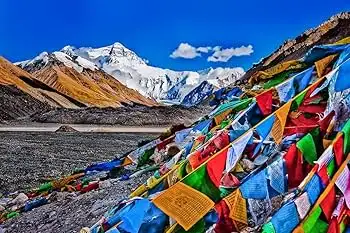 b11%20dharamshala mnyhbpex