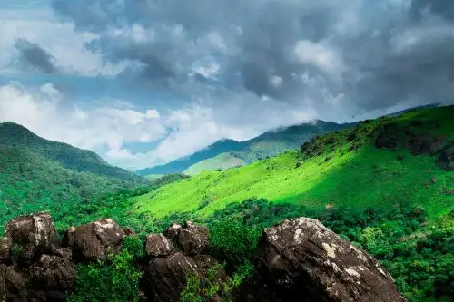b15 coorg mp3qizgw