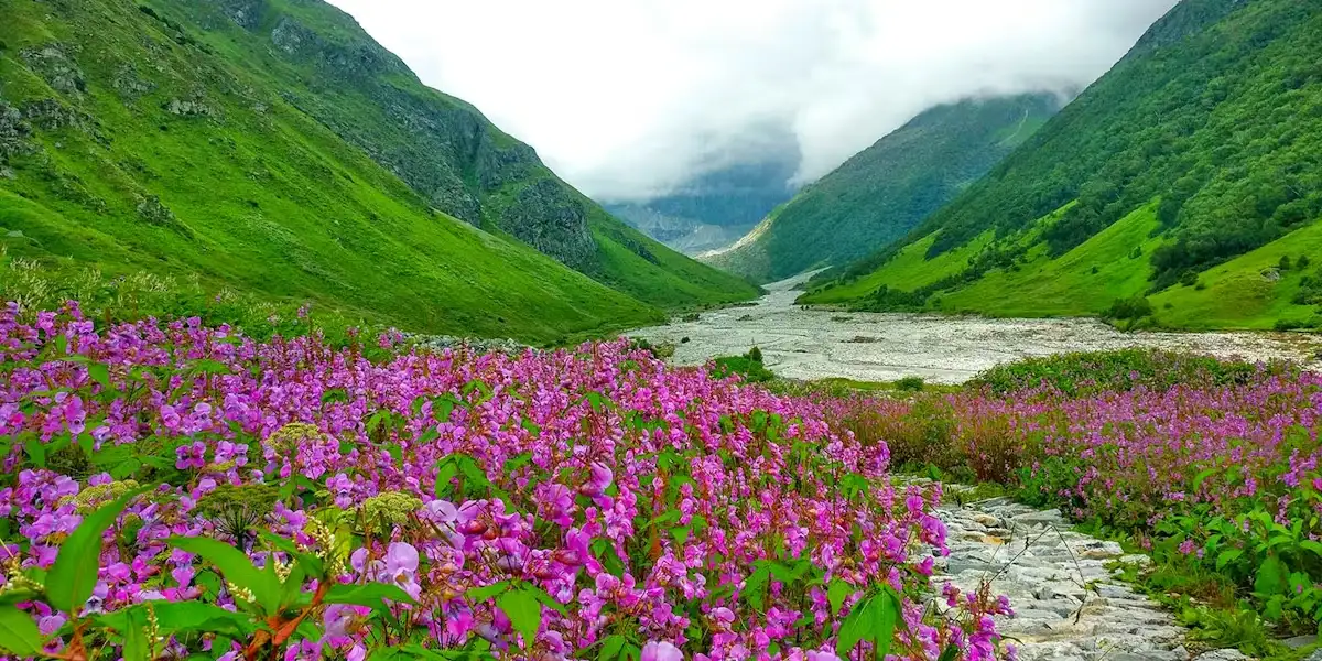 b15 valley of flower mp3qizh0