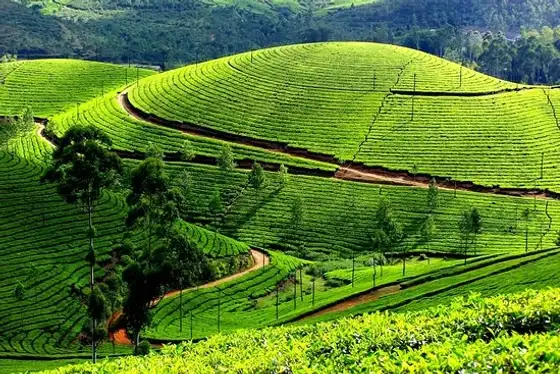 b18 munnar mremh22j
