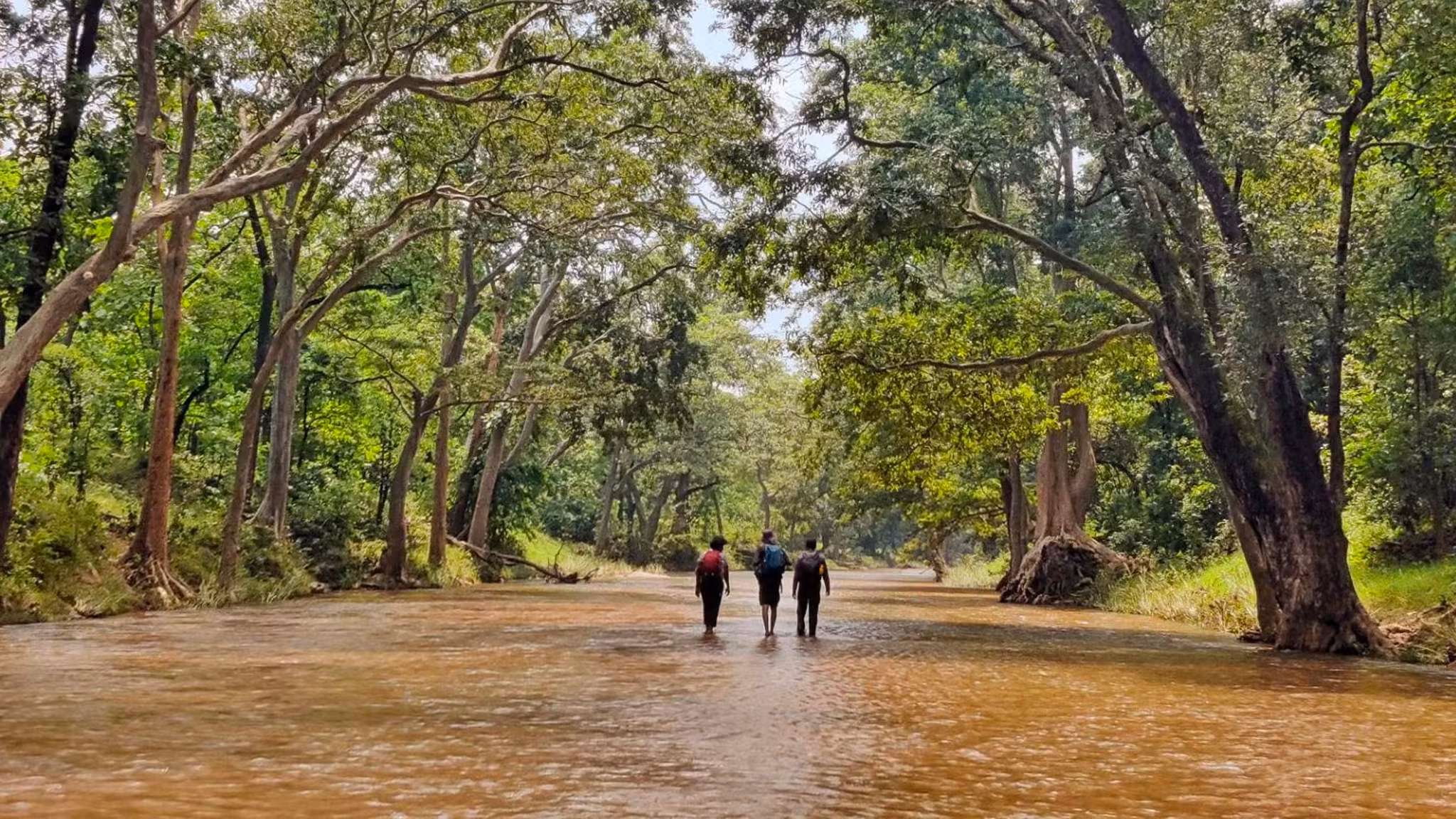 Pench Indiahikes mi4qmlx5