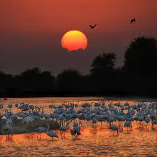 Al Qudra Lakes