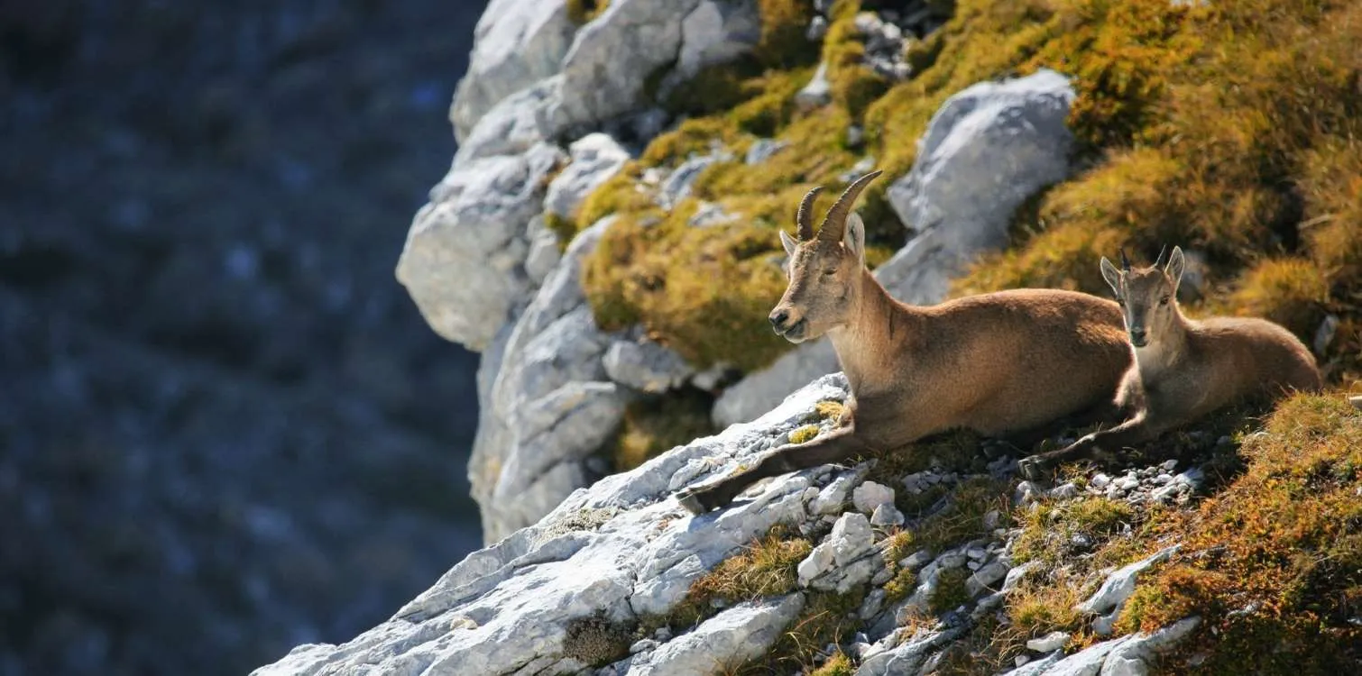 Triglav National Park
