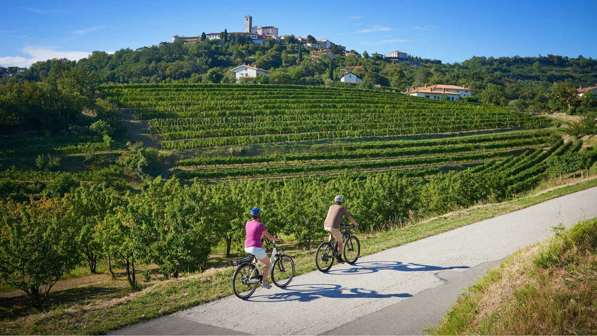 Brda Wine Region