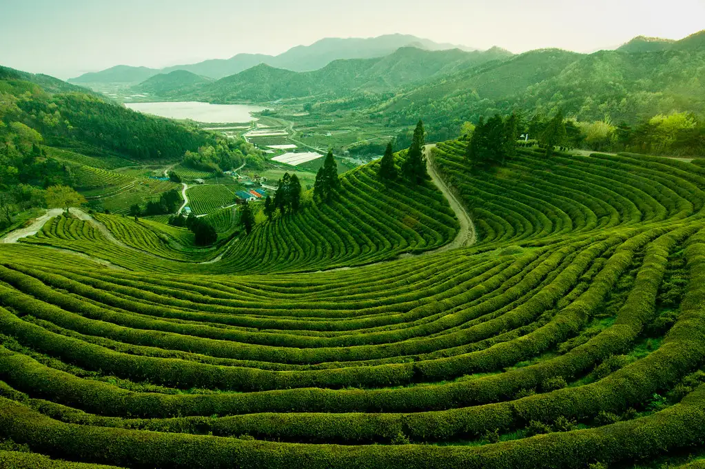 Offbeat & Hidden Gems of South Korea