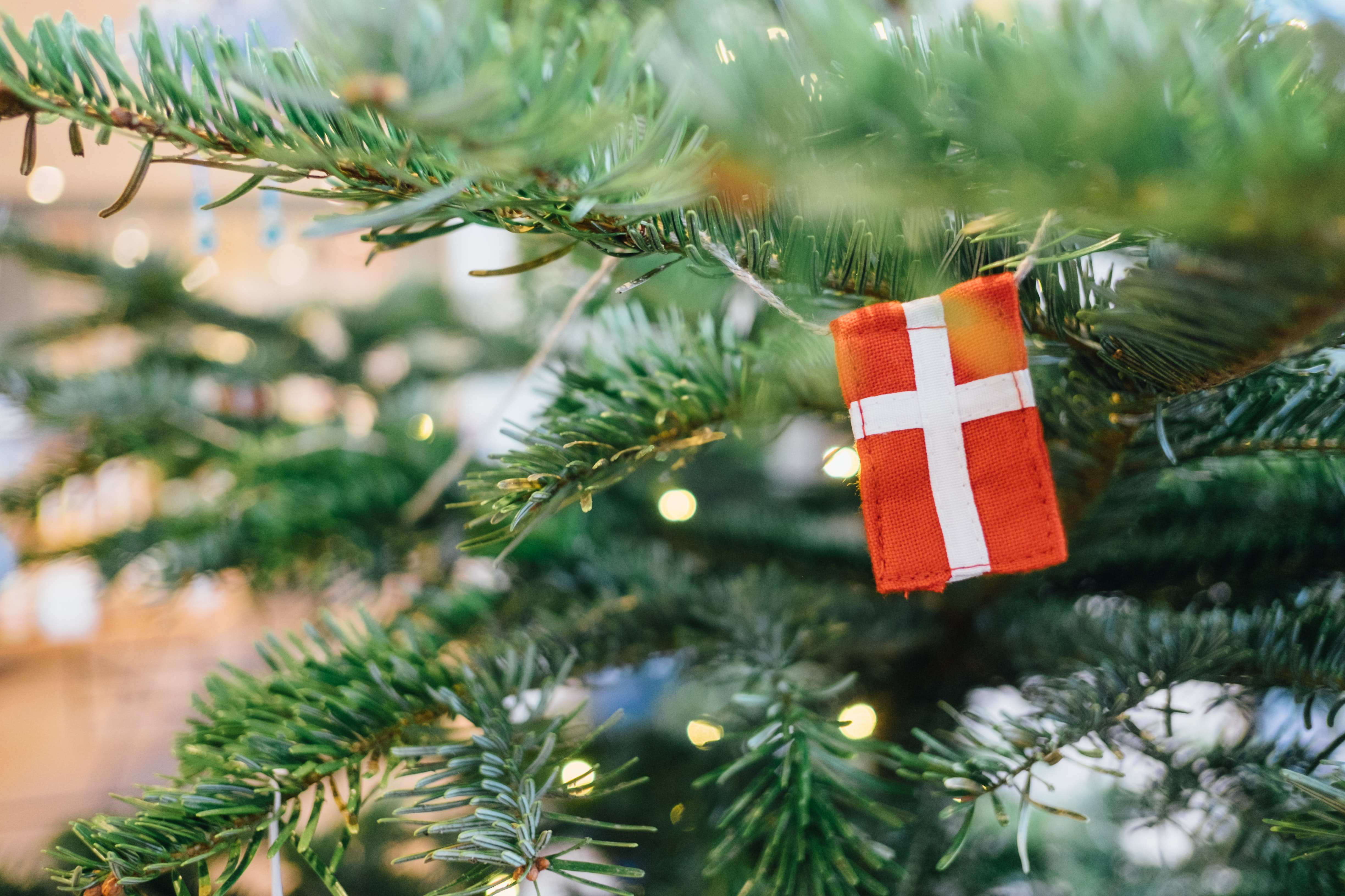 Travel to Denmark with your tree decorations!