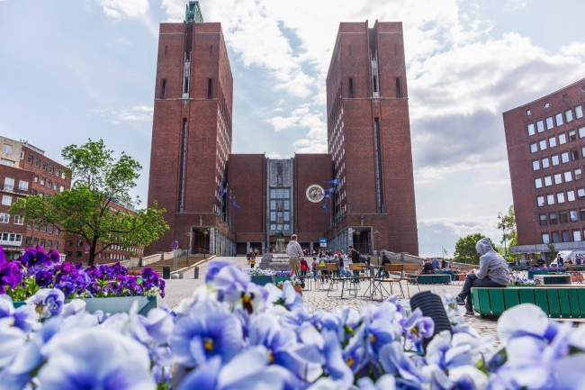 Purple and white pansies with Oslo City Hall in background